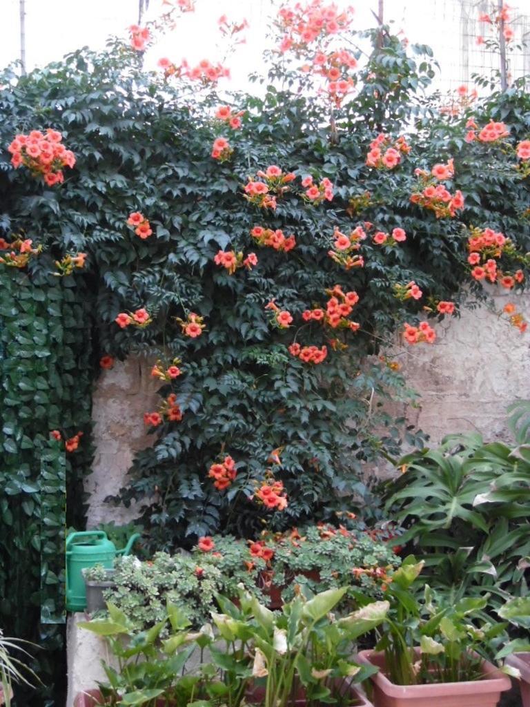 Casa Aurora